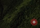 Image of dense foliage Vietnam, 1967, second 33 stock footage video 65675051875