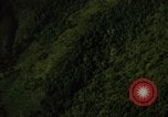 Image of dense foliage Vietnam, 1967, second 34 stock footage video 65675051875