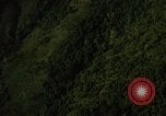 Image of dense foliage Vietnam, 1967, second 35 stock footage video 65675051875