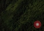 Image of dense foliage Vietnam, 1967, second 36 stock footage video 65675051875