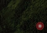 Image of dense foliage Vietnam, 1967, second 37 stock footage video 65675051875