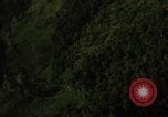 Image of dense foliage Vietnam, 1967, second 38 stock footage video 65675051875