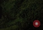 Image of dense foliage Vietnam, 1967, second 39 stock footage video 65675051875