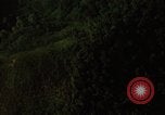 Image of dense foliage Vietnam, 1967, second 42 stock footage video 65675051875