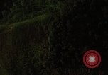 Image of dense foliage Vietnam, 1967, second 43 stock footage video 65675051875