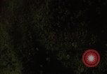 Image of dense foliage Vietnam, 1967, second 46 stock footage video 65675051875