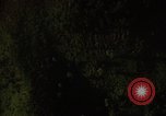 Image of dense foliage Vietnam, 1967, second 47 stock footage video 65675051875