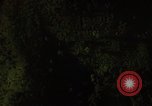 Image of dense foliage Vietnam, 1967, second 48 stock footage video 65675051875