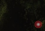 Image of dense foliage Vietnam, 1967, second 51 stock footage video 65675051875