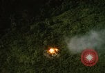 Image of dense foliage Vietnam, 1967, second 60 stock footage video 65675051875