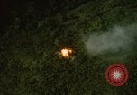 Image of dense foliage Vietnam, 1967, second 61 stock footage video 65675051875