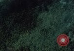 Immagine di Tactical Air Operations Il Vietnam, 1965, secondo 40 filmato di repertorio 65675051878