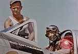 Image of P-47 pilots and crew chiefs of USAAC 57th Fighter Group Corsica France, 1944, second 30 stock footage video 65675051884