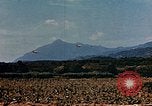 Image aéronefs P 47s Corse France, 1944, de la seconde 15 séquences d'archives historiques vidéo 65675051888