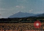 Image aéronefs P 47s Corse France, 1944, de la seconde 18 séquences d'archives historiques vidéo 65675051888