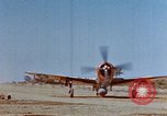 Image of Pilot examines flak damage to his P-47 aircraft Corsica France, 1944, second 4 stock footage video 65675051897