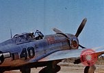 Image of Pilot examines flak damage to his P-47 aircraft Corsica France, 1944, second 13 stock footage video 65675051897