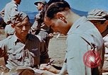 Image of Pilot examines flak damage to his P-47 aircraft Corsica France, 1944, second 60 stock footage video 65675051897