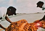 Image B 52 aéronefs Guam, 1967, de la seconde 33 séquences d'archives historiques vidéo 65675051904