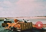 Image B 52 aéronefs Guam, 1967, de la seconde 42 séquences d'archives historiques vidéo 65675051904