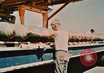 Image of loading bombs on B-52 aircraft in Vietnam War Guam, 1967, second 46 stock footage video 65675051905