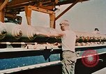 Image of loading bombs on B-52 aircraft in Vietnam War Guam, 1967, second 49 stock footage video 65675051905