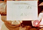 Image of P 47 aircraft Germany, 1945, second 1 stock footage video 65675051920