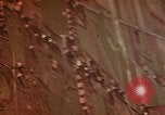 Image of barracks Germany, 1945, second 9 stock footage video 65675051922