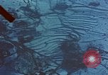 Image of snow covered land Korea, 1951, second 25 stock footage video 65675051928