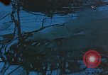 Image of snow covered ground Korea, 1951, second 29 stock footage video 65675051930