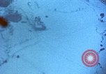 Image of US aircraft strafing Korea, 1951, second 39 stock footage video 65675051931