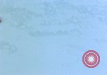 Image of farm land area Korea, 1951, second 26 stock footage video 65675051933