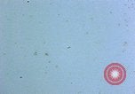 Standbild US-Flugzeuge strafing Korea, 1951, aus Sekunde 37 historischem Filmmaterial Videoclip 65675051936