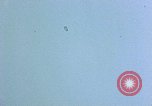 Standbild US-Flugzeuge strafing Korea, 1951, aus Sekunde 39 historischem Filmmaterial Videoclip 65675051936