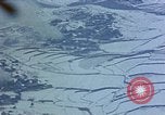 Standbild US-Flugzeuge strafing Korea, 1951, aus Sekunde 48 historischem Filmmaterial Videoclip 65675051936