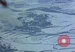 Standbild US-Flugzeuge strafing Korea, 1951, aus Sekunde 49 historischem Filmmaterial Videoclip 65675051936