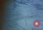 Image of snow covered terrain Korea, 1951, second 46 stock footage video 65675051939