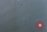 Image of German fighter Germany, 1945, second 18 stock footage video 65675051957
