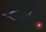 Image of trucks Germany, 1945, second 45 stock footage video 65675051961