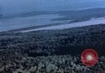 Image of small factory area Germany, 1945, second 13 stock footage video 65675051962