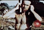 Immagine di Avieri Corsica Francia Alto Air Base, 1944, secondo 50 filmato di repertorio 65675051968