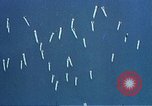 Image of P-51 dogfights and strafing operations Guam Mariana Islands, 1945, second 18 stock footage video 65675051973