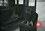 Standbild Antiquariat Falun Schweden, 1931, aus Sekunde 15 historischem Filmmaterial Videoclip 65675051977