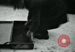 Standbild Antiquariat Falun Schweden, 1931, aus Sekunde 20 historischem Filmmaterial Videoclip 65675051977
