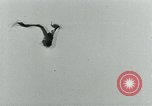 Image Aéronefs Berlin Allemagne, 1931, de la seconde 42 séquences d'archives historiques vidéo 65675051978