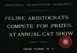 Image of cats New York City USA, 1931, second 1 stock footage video 65675051980