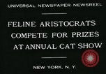 Image of cats New York City USA, 1931, second 3 stock footage video 65675051980