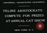Image of cats New York City USA, 1931, second 4 stock footage video 65675051980