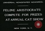 Image of cats New York City USA, 1931, second 5 stock footage video 65675051980