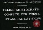 Image of cats New York City USA, 1931, second 6 stock footage video 65675051980